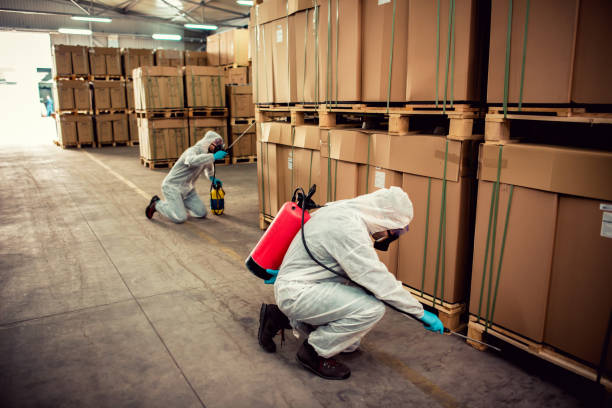 Best Affordable Pest Control Services  in Opp, AL