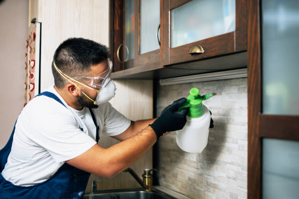 Pest Control for Restaurants in Opp, AL