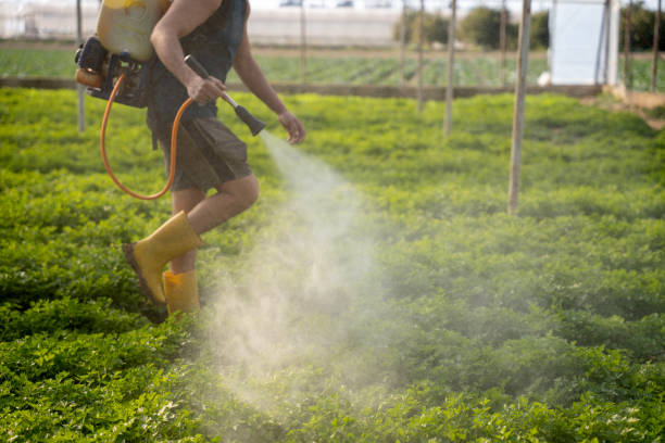 Best Best Pest Control Companies  in Opp, AL