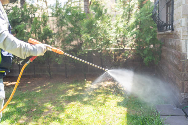Best Mosquito Control Services  in Opp, AL