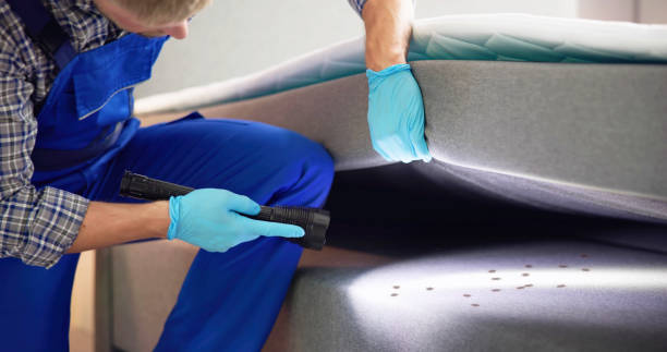 Reliable Opp, AL Pest Control Solutions