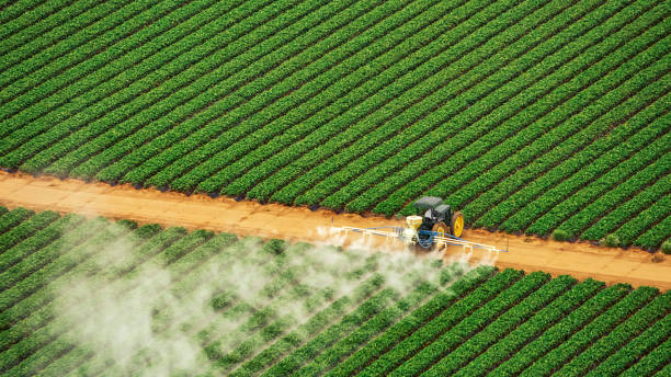 Best Commercial Pest Control Services  in Opp, AL