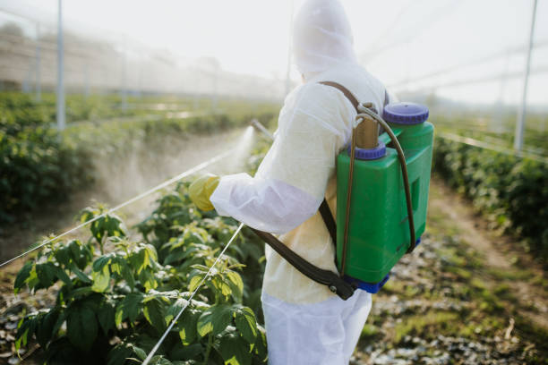 Best Affordable Pest Control Services  in Opp, AL